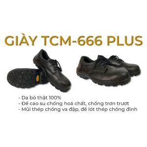 Giày TCM-666 Plus