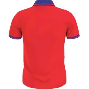 áo thun đồng phục Tân Đại Việt