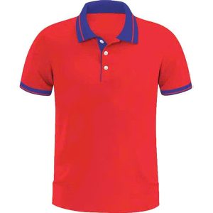 áo thun đồng phục Tân Đại Việt